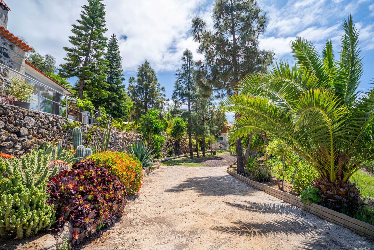 Finca Alma