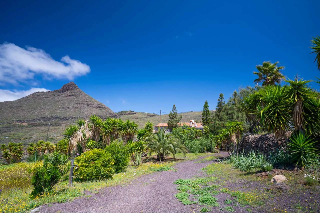 Finca Alma