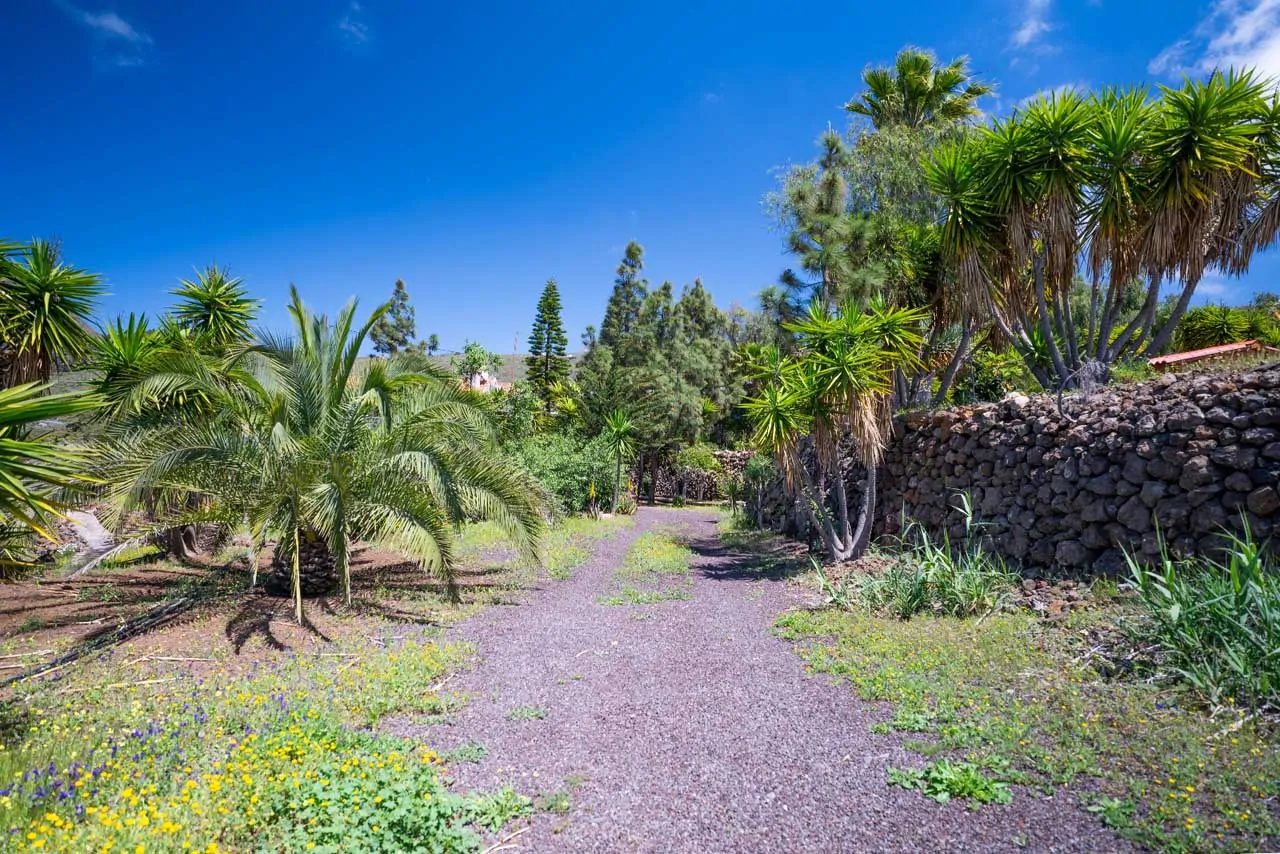 Finca Alma