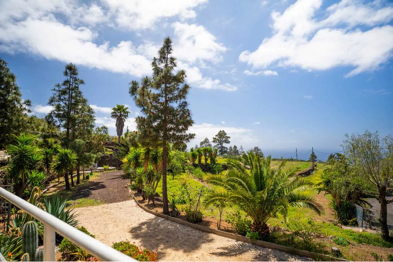 Finca Alma